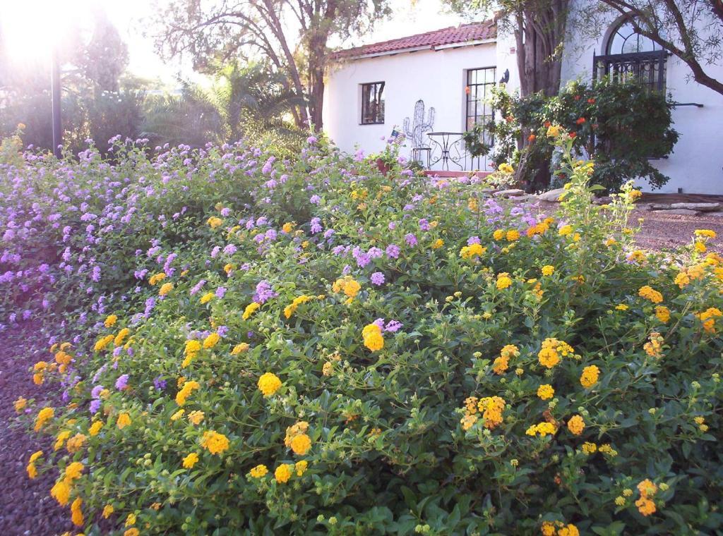 Sam Hughes Inn B&B Tucson Exteriör bild